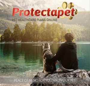 Boy and dog sitting on a rock looking out over a lake promoting peace of mind with Protectapets pet healthcare plans